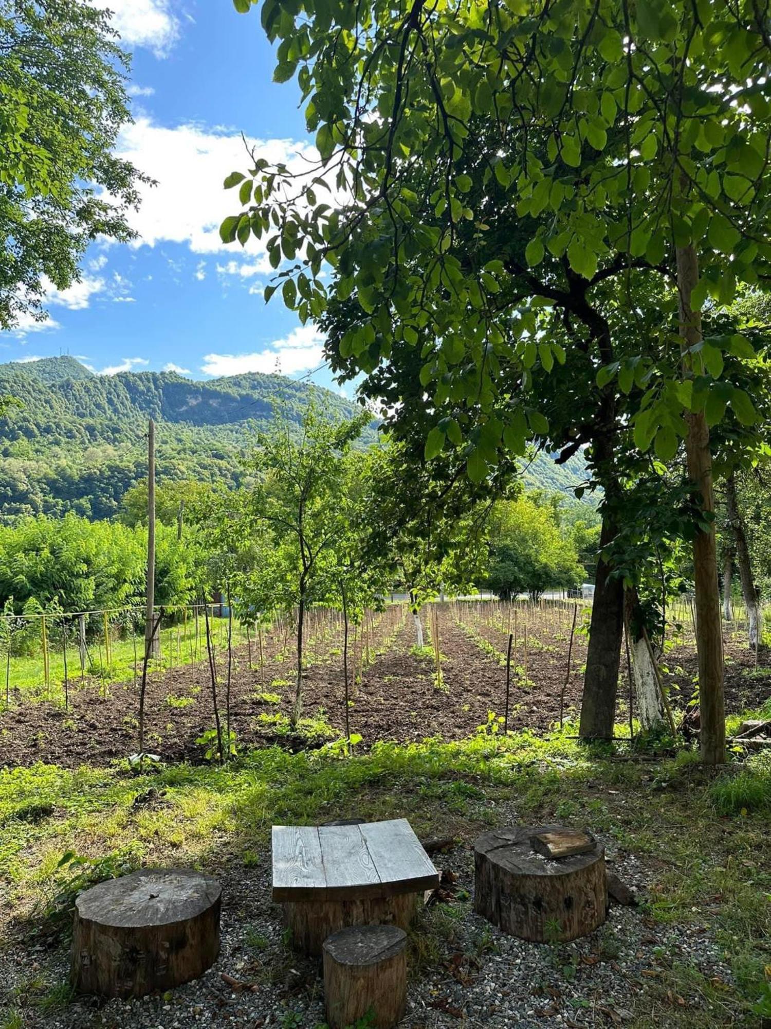 Kipiani Guest House Ყიფიანის Სახლი Khvanchkara 외부 사진
