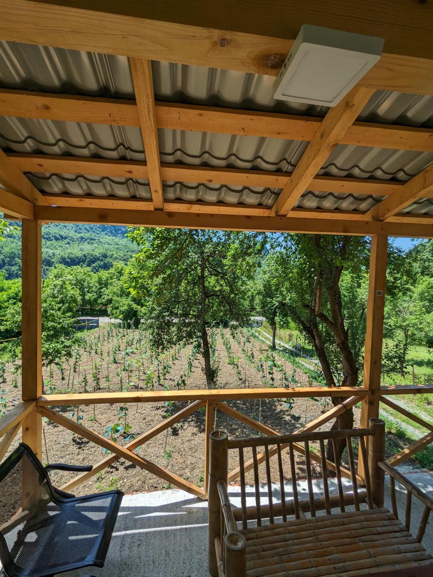 Kipiani Guest House Ყიფიანის Სახლი Khvanchkara 외부 사진