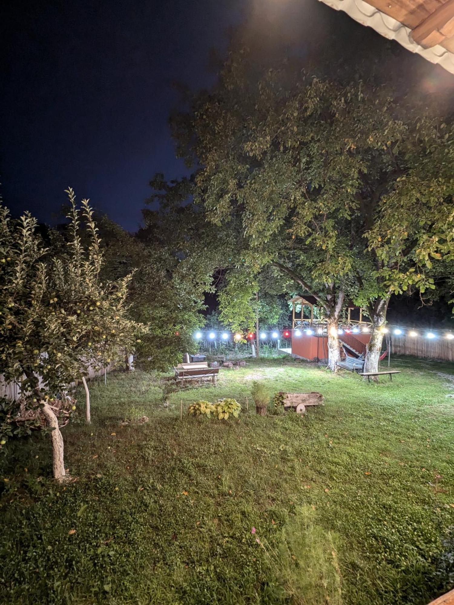 Kipiani Guest House Ყიფიანის Სახლი Khvanchkara 외부 사진